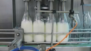 TÜİK “Toplanan İnek Sütü Azaldı”