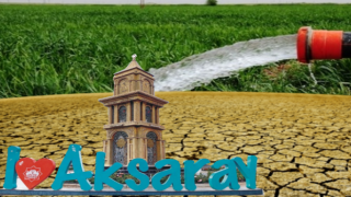 Her Geçen Yıl Bir Önceki Yılı Arar Oldular