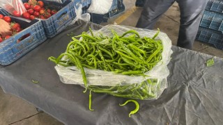 Yağışlı Hava ve Mazot Fiyatı Pazarı Vurdu