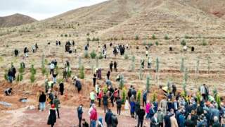 Aksaraylılar “Dikmede Sıkıntımız Yok, Dikileni Korumuyoruz”