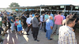 Aksaray’da Kurban Kesim Yerleri Belli Oldu: Belirlenen Alanlar Dışında Kesime İzin Yok