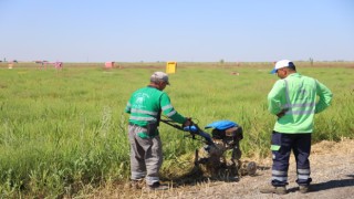 Aksaray Lavanta Bahçesi Yeni Sezona Hazırlanıyor
