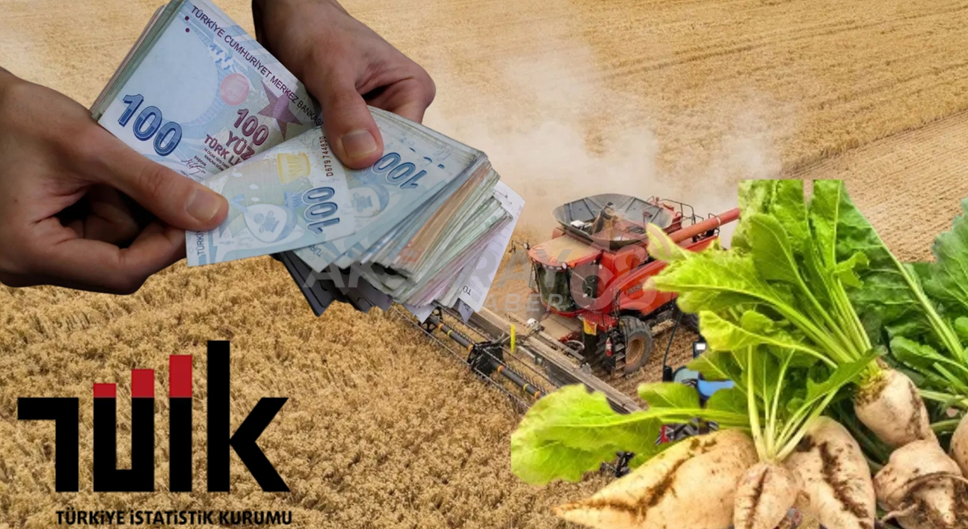 TÜİK “Tarımsal Üretim Maliyetindeki Artış Yüzde 30,28” Diyor