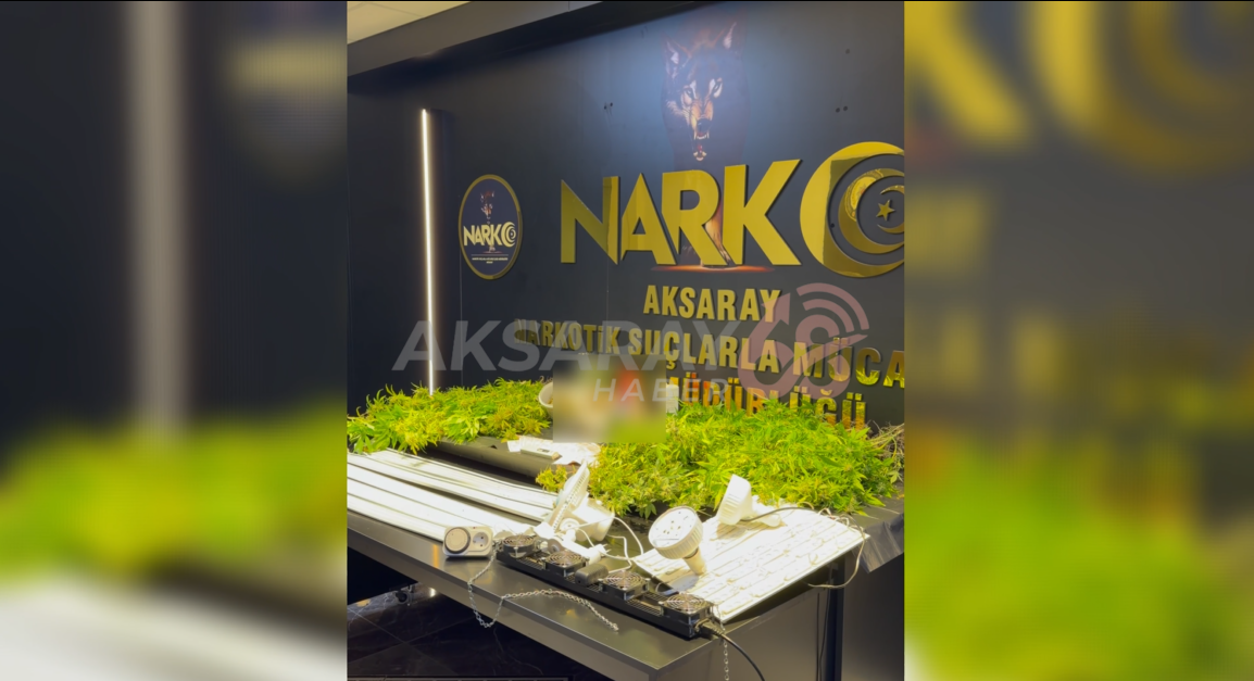 Ev Diye Girdiler Kenevir Bahçesi Çıktı