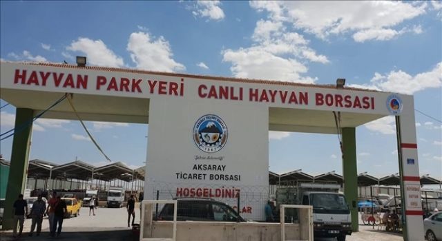 Hayvan Pazarı Bayram Sabahına Kadar Açık Olacak