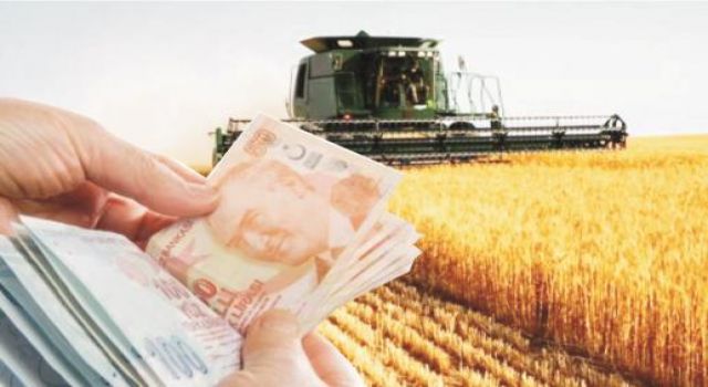 TÜİK “Tarımsal Maliyetlerdeki Artış Yüzde 47,56”