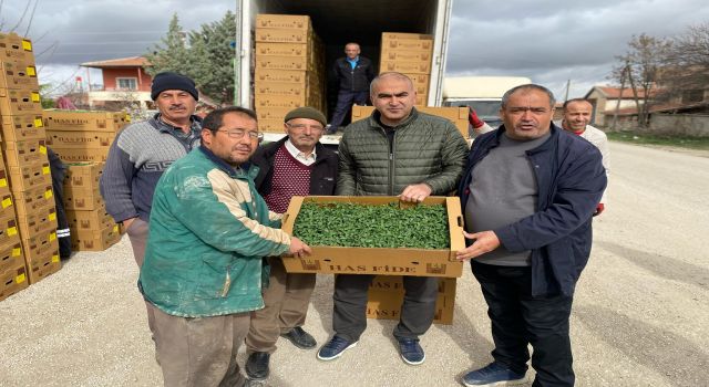 Ziraat Odası 150 Bin Fide Teslim Etti