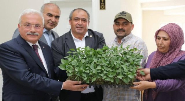 Ziraat Odası’nda Fide Satışları Sürüyor