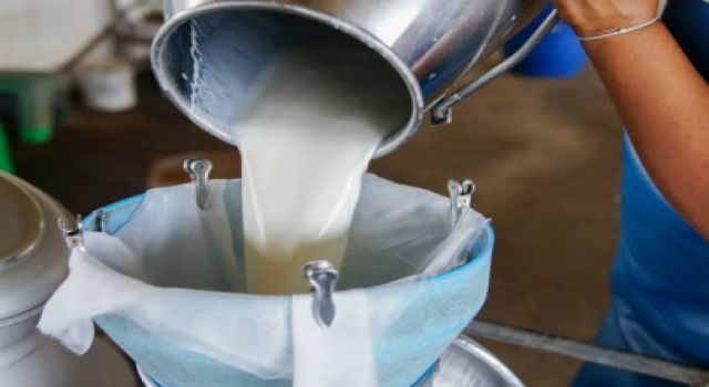 “Biz Yangın Var Diyoruz, Yetkililer Ateşle Müdahale Ediyor”