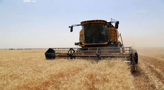 Hububatta Hayal Kırıklığı