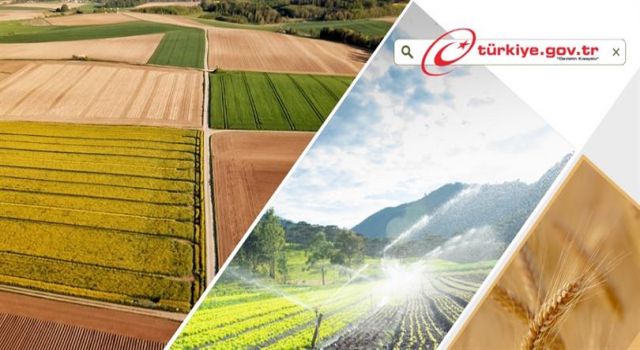 Çiftçiler Dikkat! ÇKS’de Yeni Başvuru Dönemi Başlıyor