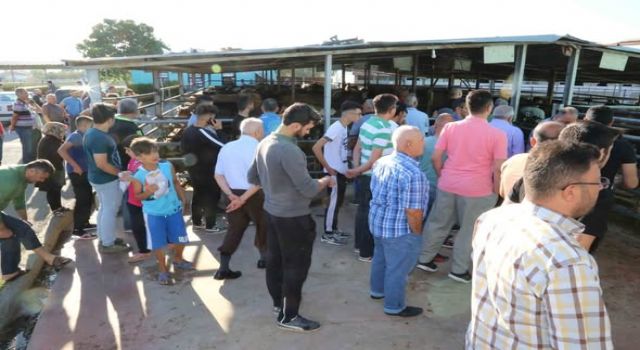 Aksaray’da Kurban Kesim Yerleri Belli Oldu: Belirlenen Alanlar Dışında Kesime İzin Yok