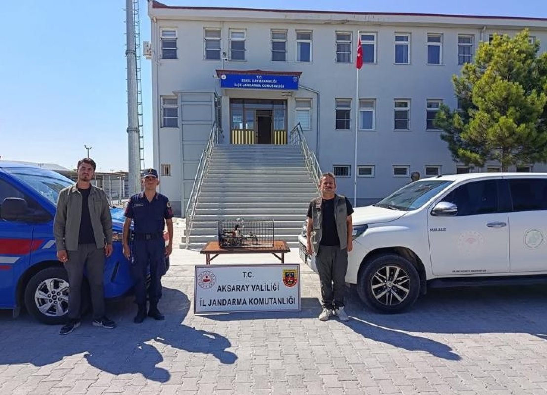 Eskil’de Kuş Operasyonu
