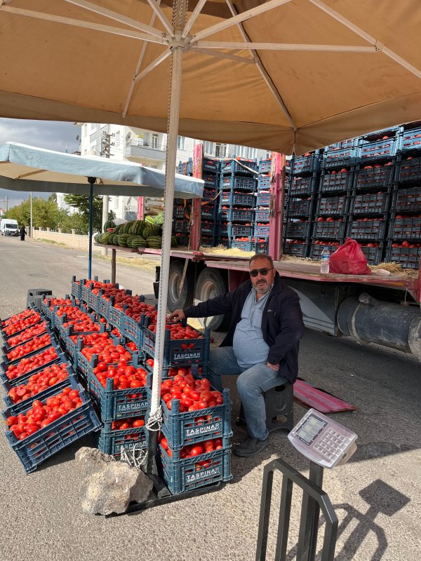 Antalya’ya Domates Satıyor