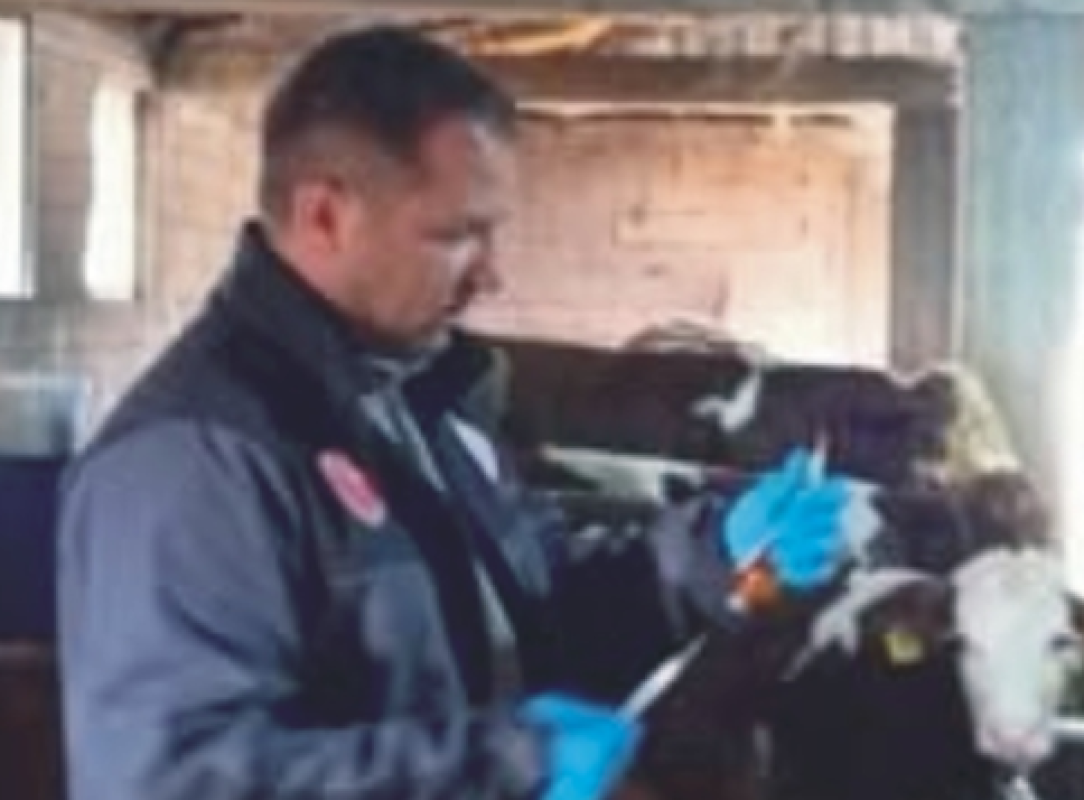 Şap ve Bulaşıcı Hastalıklar Konusunda Önleyici Çalışmalar Sürüyor