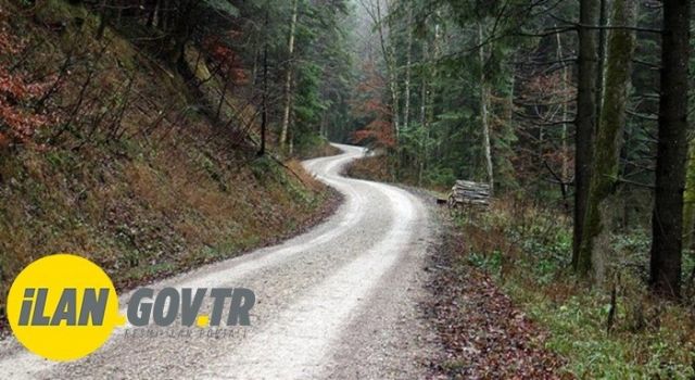 Orman Yolu Yaptırılacak