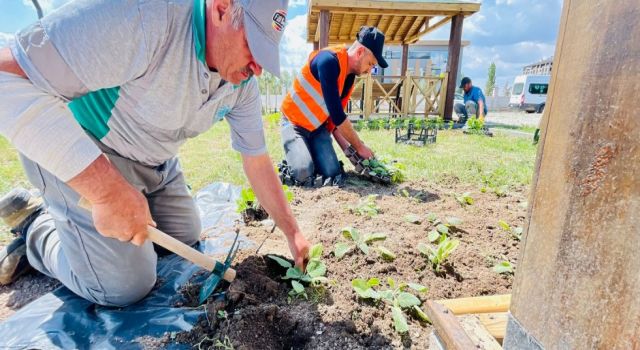 Aromatik Bitkilerle Parklar Mis Gibi Kokacak