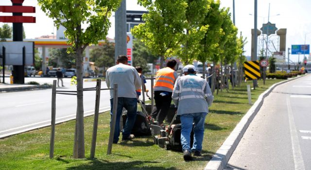 Yeşil Aksaray İçin Seferberlik Sürüyor