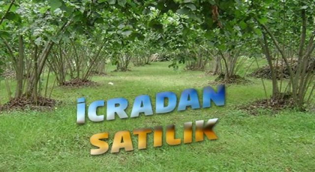 İcradan Satılık Bahçe
