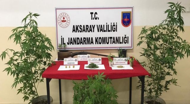 Jandarmadan Kenevir Operasyonu