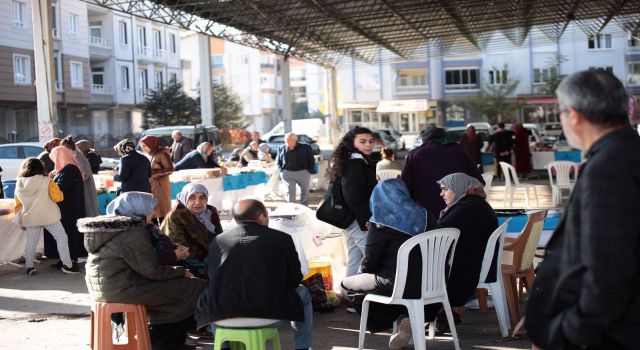Hanımeli Pazarına İlgi Artıyor