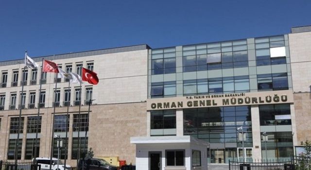 Orman Genel Müdürlüğü 224 Daimi İşçi Alacak