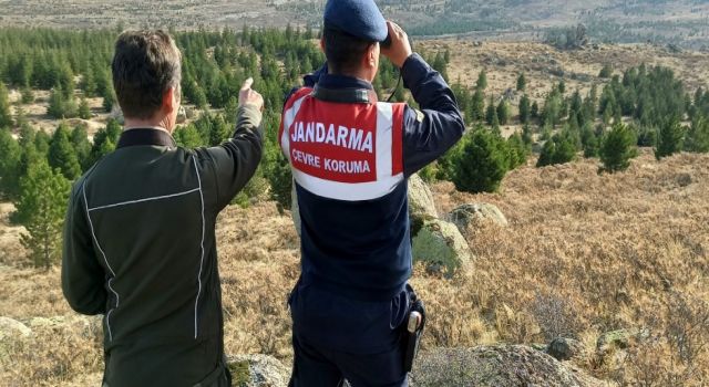 Ekecik’in Yaban Koyunları Korunuyor