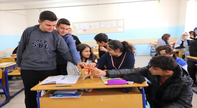 Lisenin Maskotu "Aslan" Öğrencileri Derslerde de Yalnız Bırakmıyor