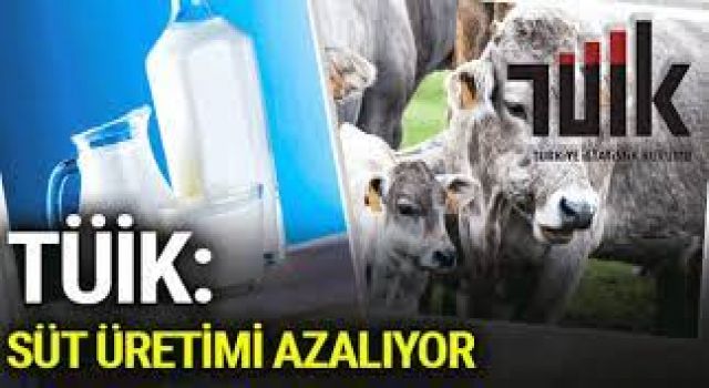 TÜİK “Süt Üretimi Azalıyor”