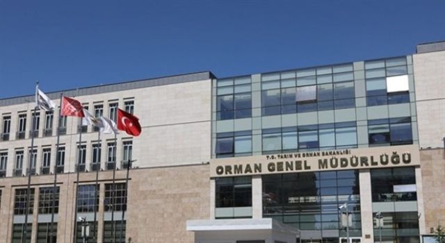 Orman Genel Müdürlüğü 109 Sözleşmeli Personel Alacak