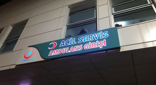Trafik Kazası