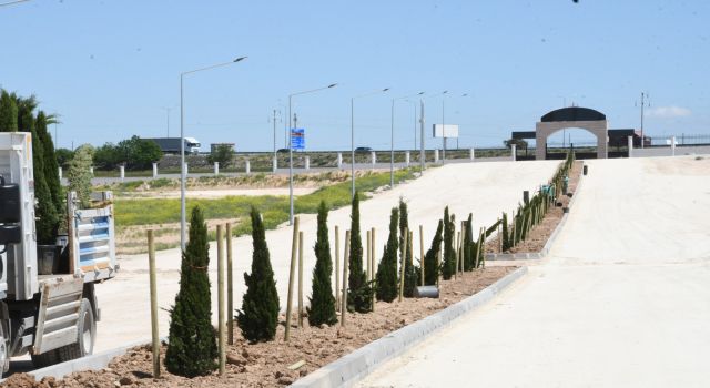 Yeni Şehir Mezarlığı ve Külliyesinde Ağaçlandırma Ve Peyzaj Çalışmaları Başladı