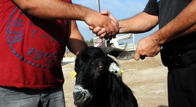 Kurban Dolandırıcıları İş Başında