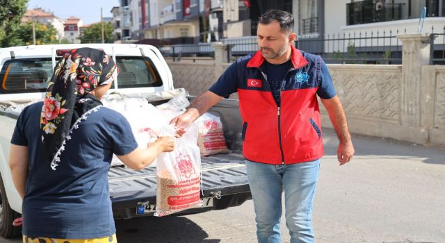 Belediye Hasadı Nohutlar İhtiyaç Sahiplerine Dağıtılmaya Başlandı