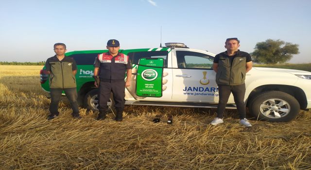 Avcı Düzenekleri Jandarmanın Merceğine Takıldı