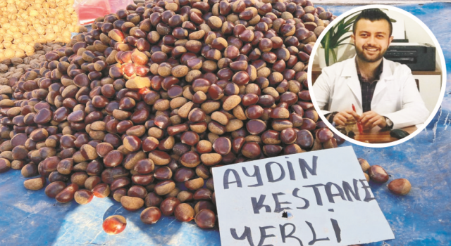 Kestanenin Bilinmeyenlerini Diyetisyen Sinav Açıkladı